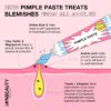 iNNBEAUTY PROJECT Pimple Paste Overnight Blemish Drying Paste