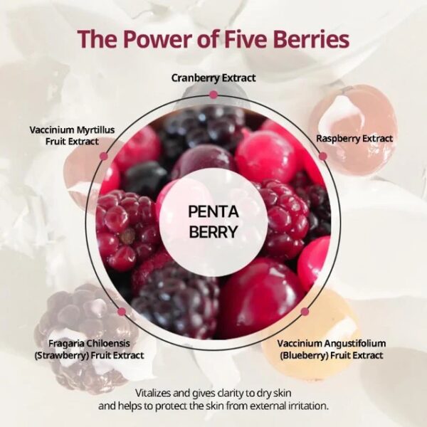 HEVEBLUE Penta Berry Panthenol Repair Lip Treatment - Image 4