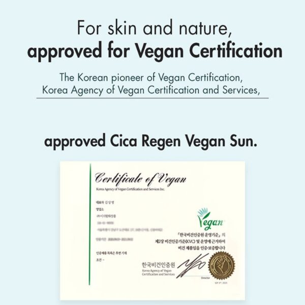 Dr. Ceuracle Cica Regen Vegan Sun 50ml - Image 4