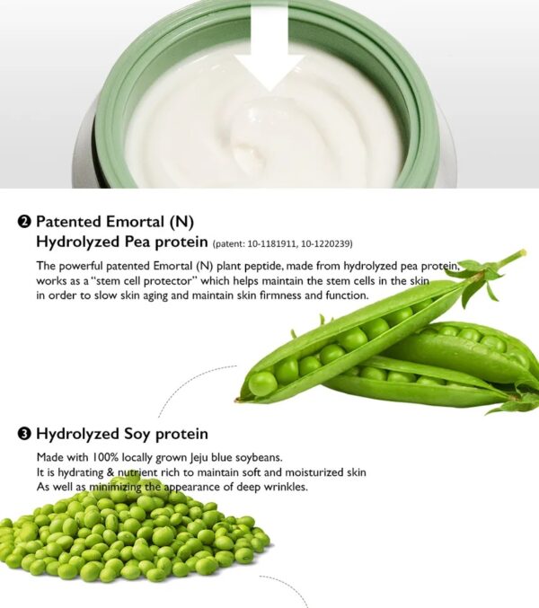 Haruharu Wonder Centella Phyto & 5 Peptide Concentrate Cream - Image 5