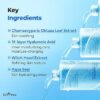 Isntree Ultra-Low Molecular Hyaluronic Acid Toner 300ml